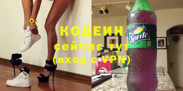 соль ск Ельня