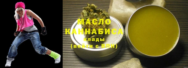 соль ск Ельня