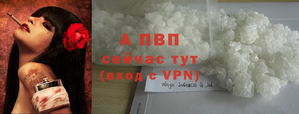 соль ск Ельня