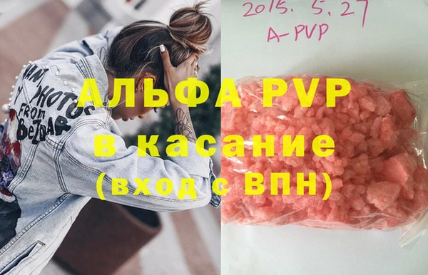 соль ск Ельня