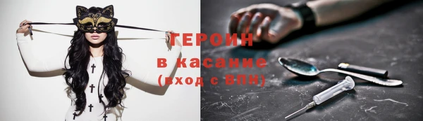 соль ск Ельня