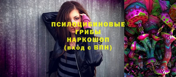 скорость Елизово