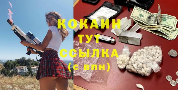 соль ск Ельня