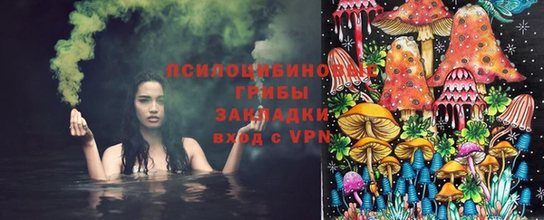 скорость Елизово
