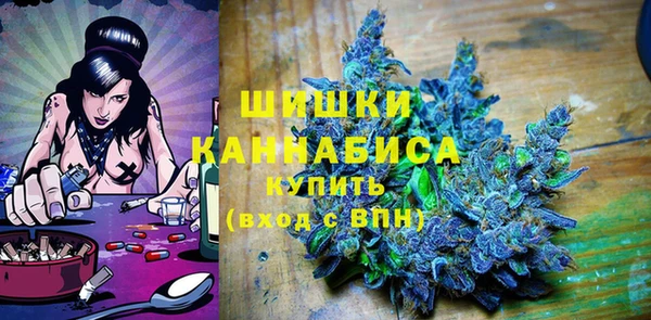 соль ск Ельня