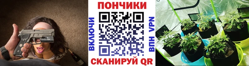 Купить где  Лянтор  Марихуана ГИДРОПОН 